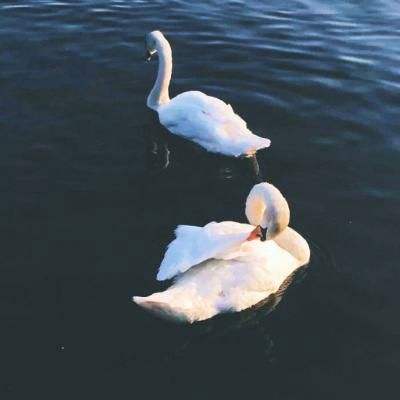 乐天堂点评指导截图