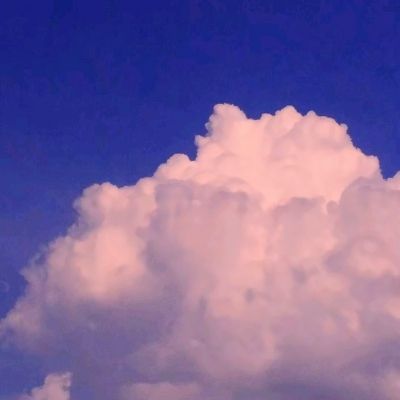 NG体育·(南宫)手机app下载