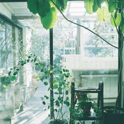 BO半岛综合app安全下载手机app下载