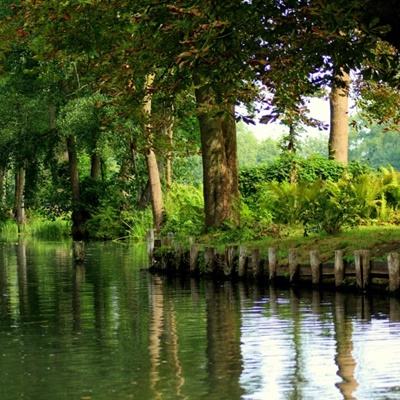 乐天堂点评指导截图