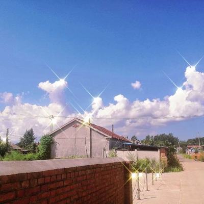 乐鱼游戏app在线登录手机app下载