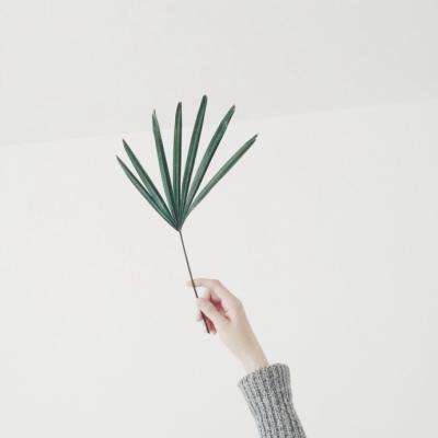 246天天好彩下载手机版