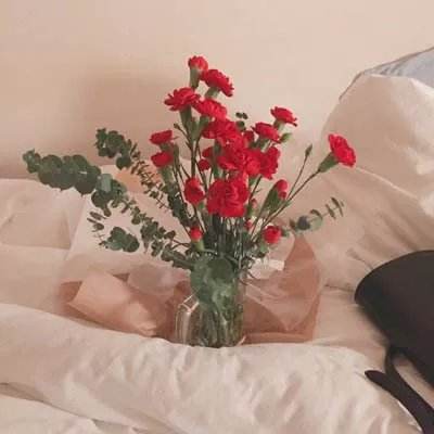 麻将胡了pg网页版APP下载