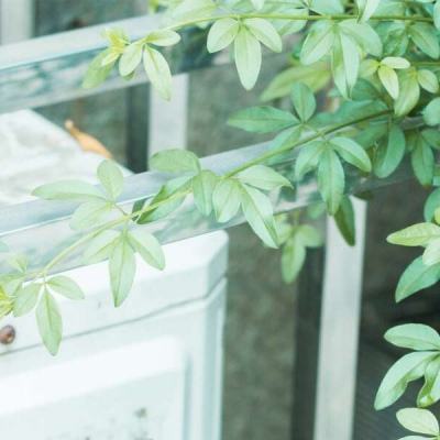 bob·体育综合appapp下载