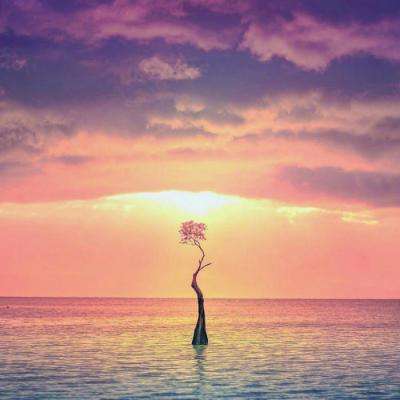 尊龙网址登录官网